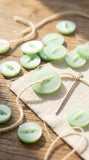 11mm & 19mm Mint Fisheye Buttons